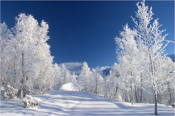 Vinterbilde, med sol og skiløype
